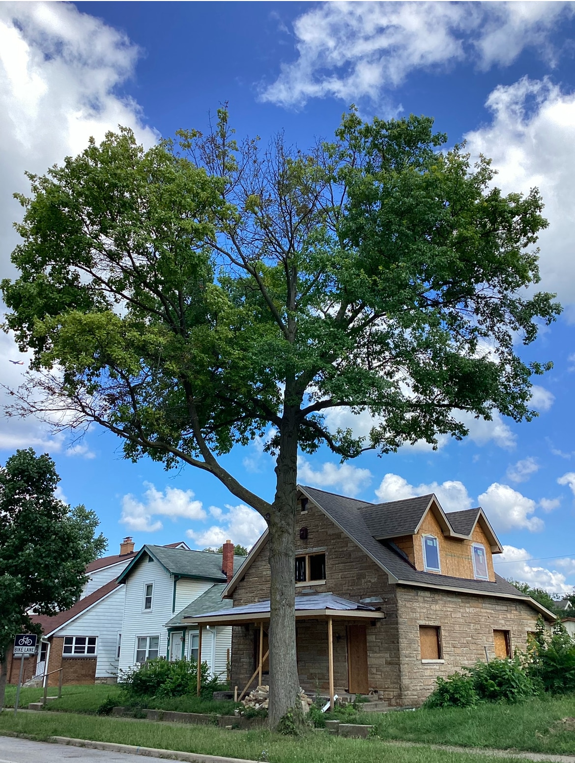 A Trees Worth Tree Care1