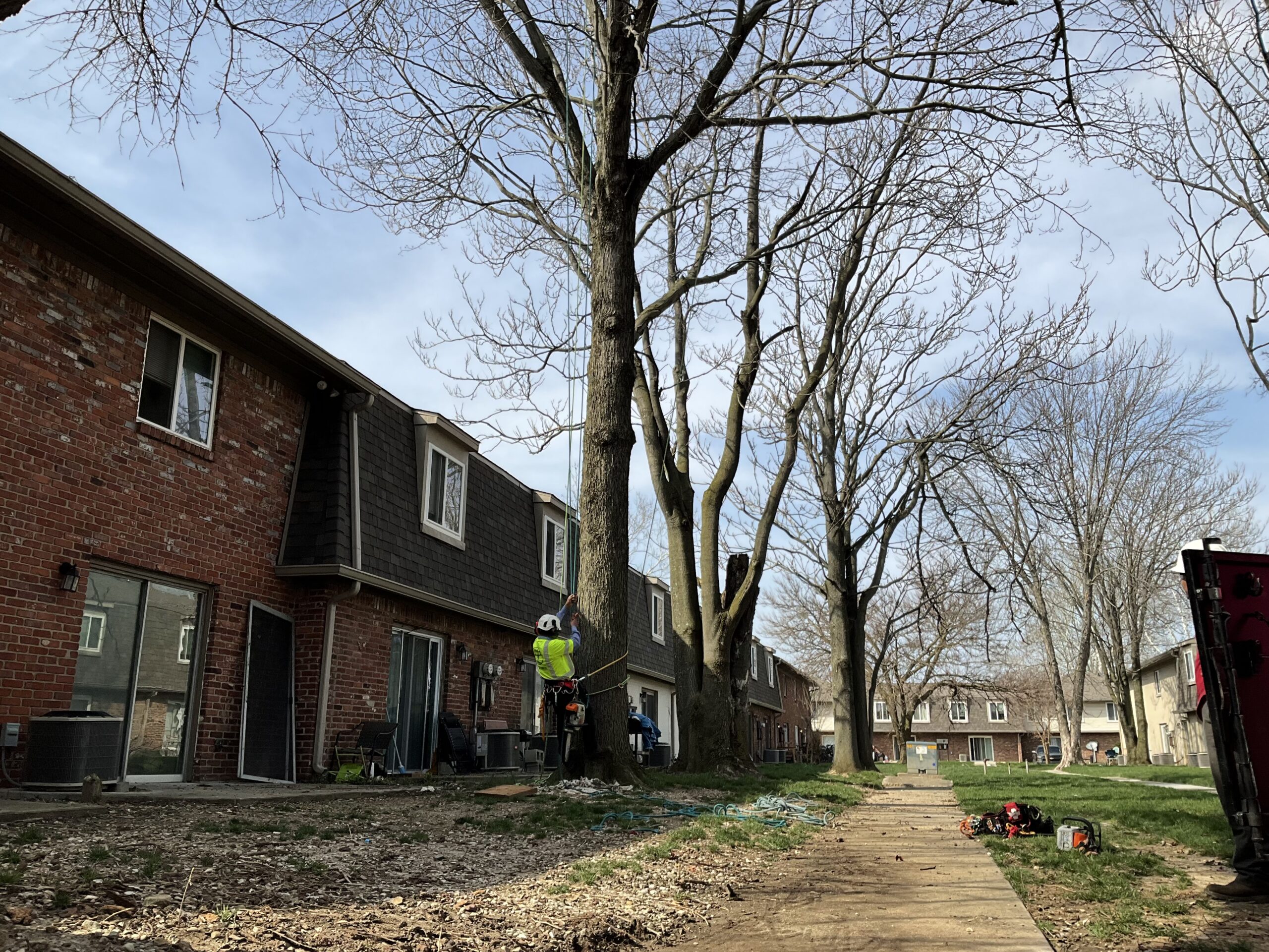 A Trees Worth Tree Care Services