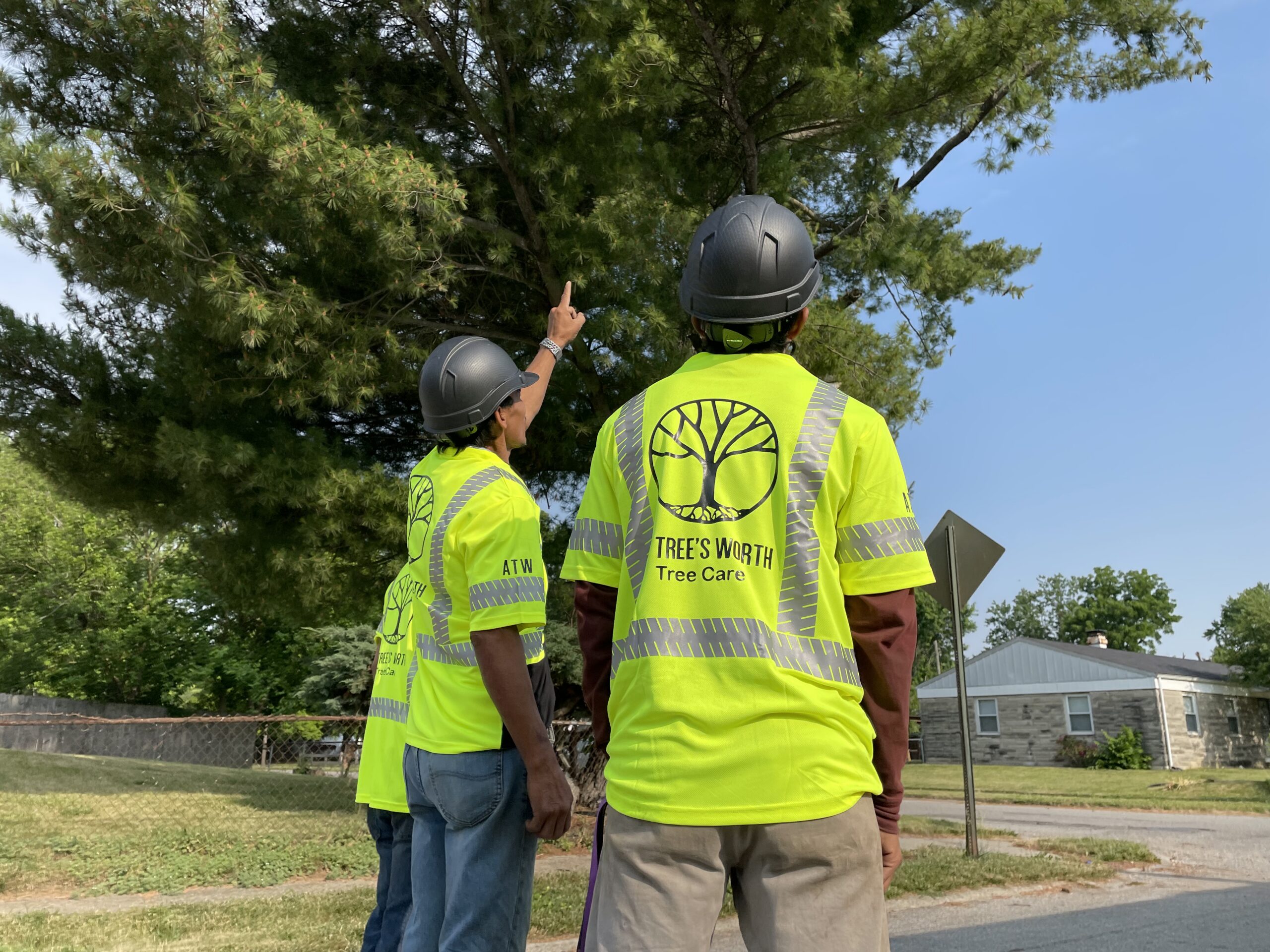 A Tree's Worth Tree Care Crew