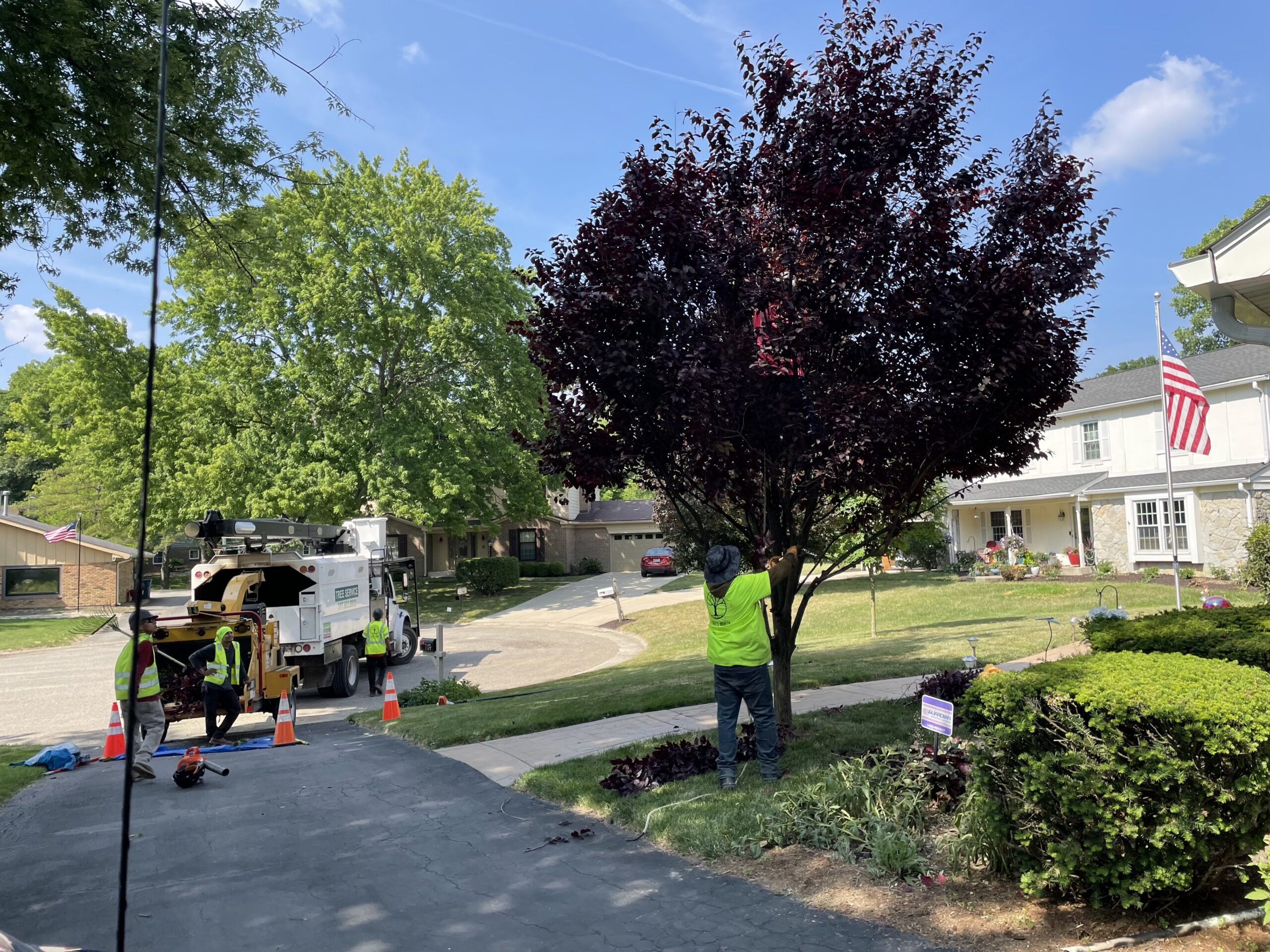 A Trees Worth Tree Care Services