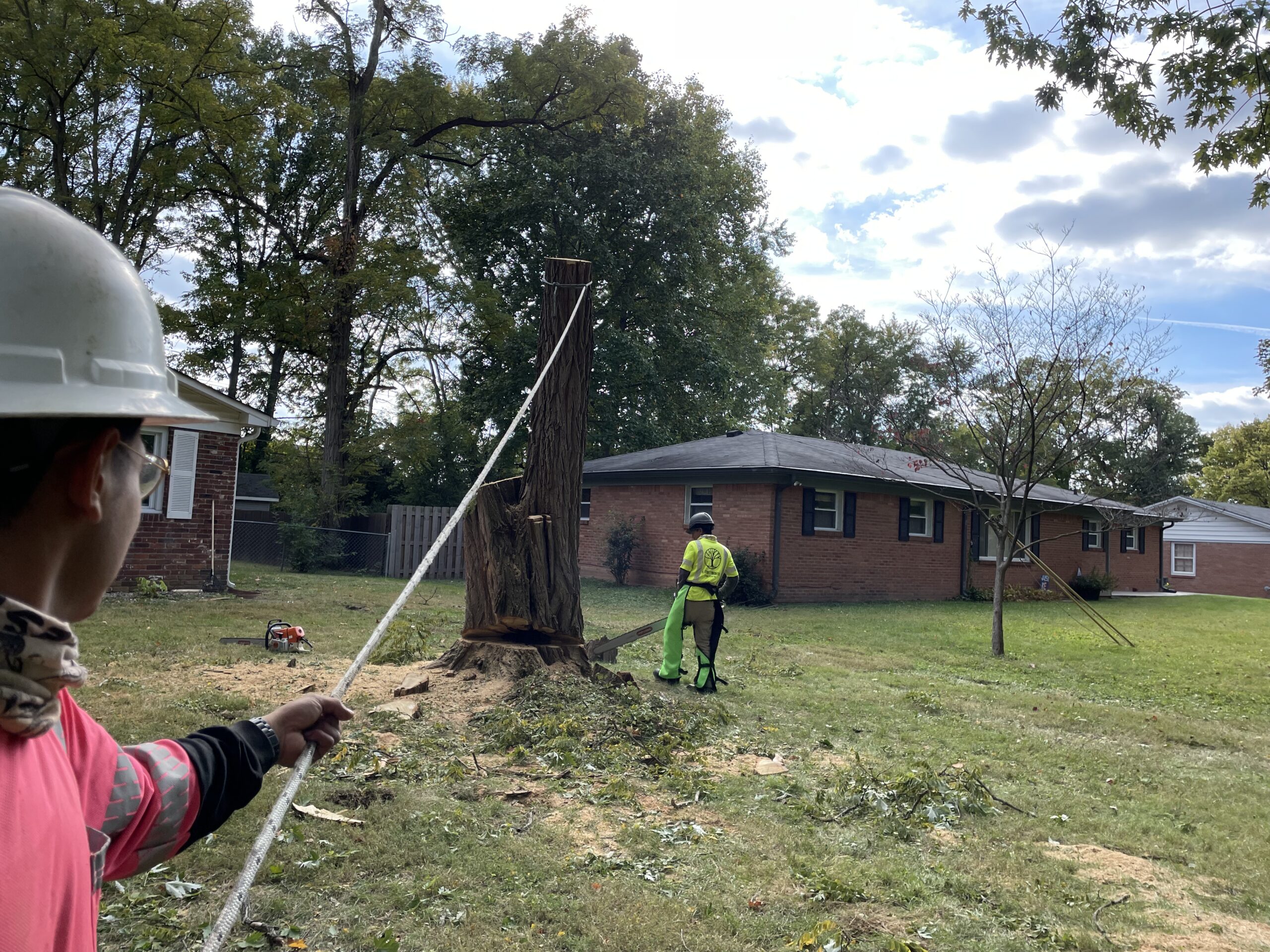 A Trees Worth Tree Care Services