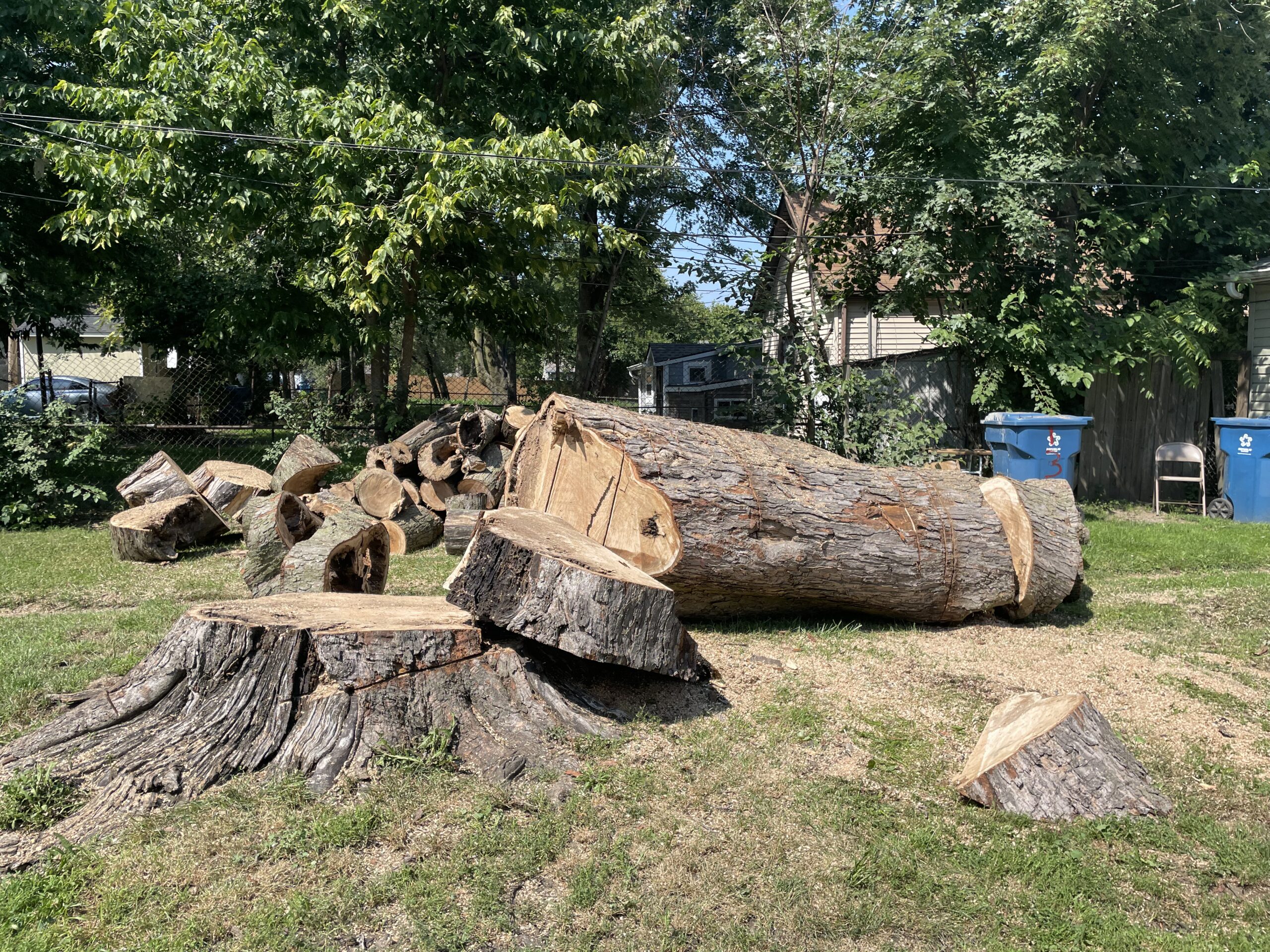 A Trees Worth Tree Care Stump Grinding