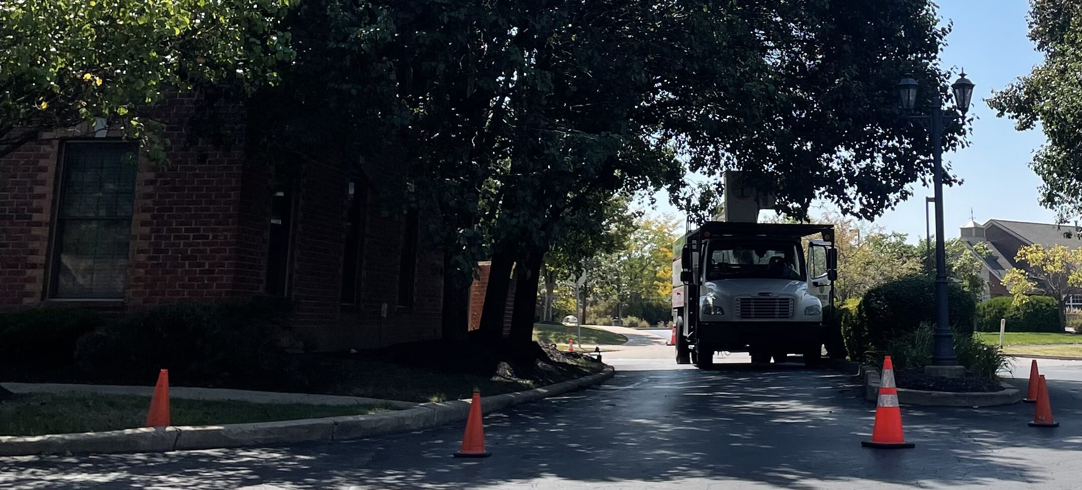 A Trees Worth Tree Care Services