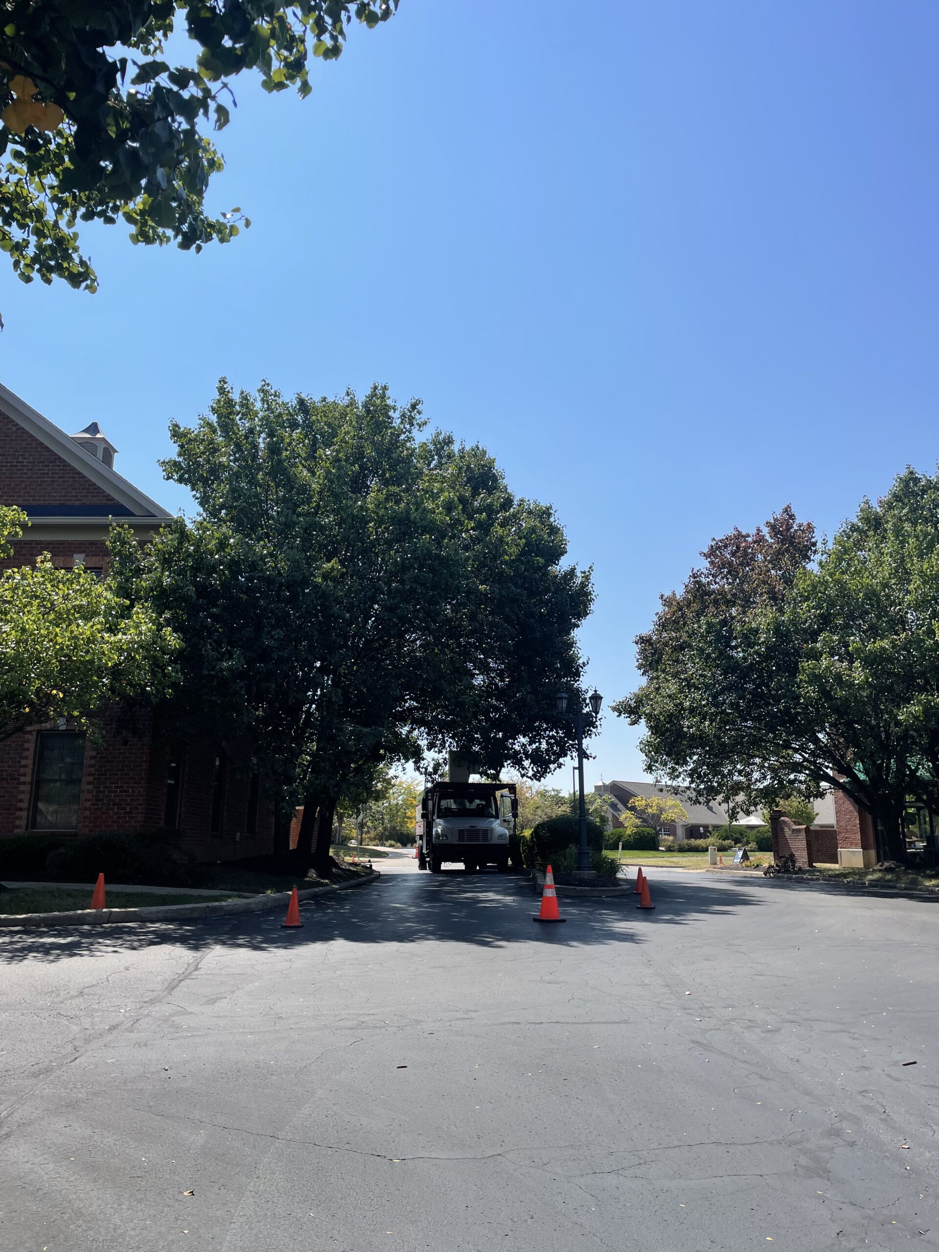 A Trees Worth Tree Care Services