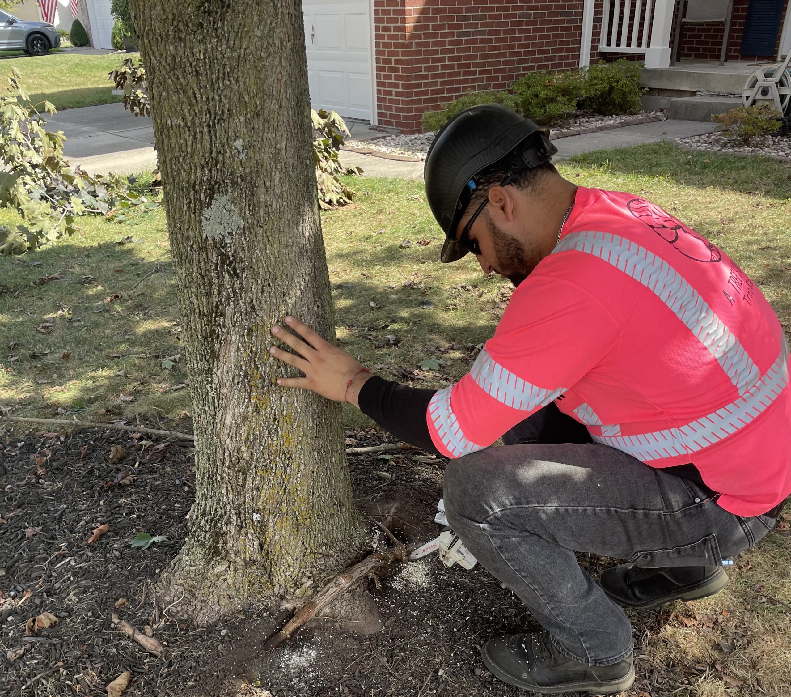 A Trees Worth Tree Care Services