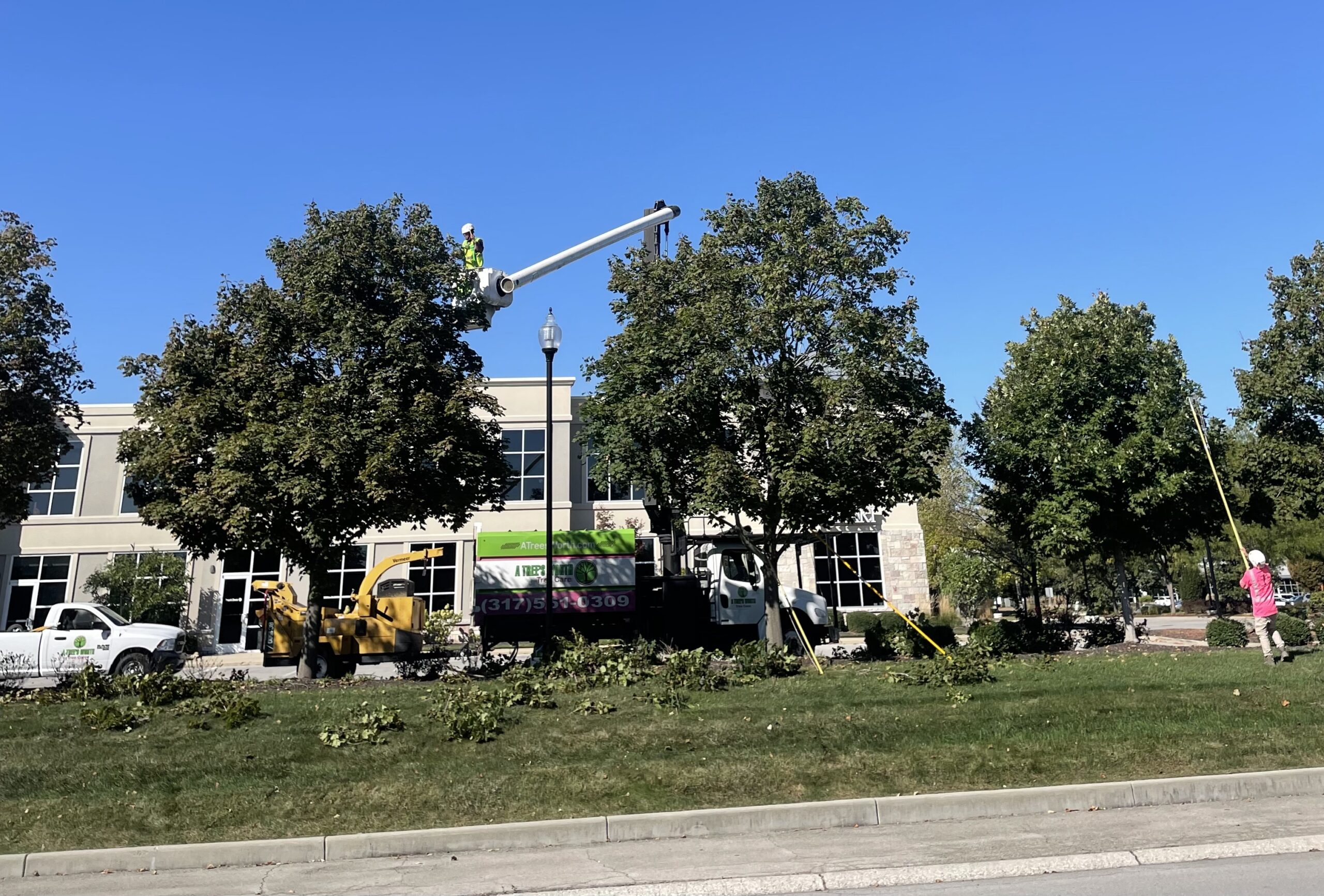 A Trees Worth Tree Care Services