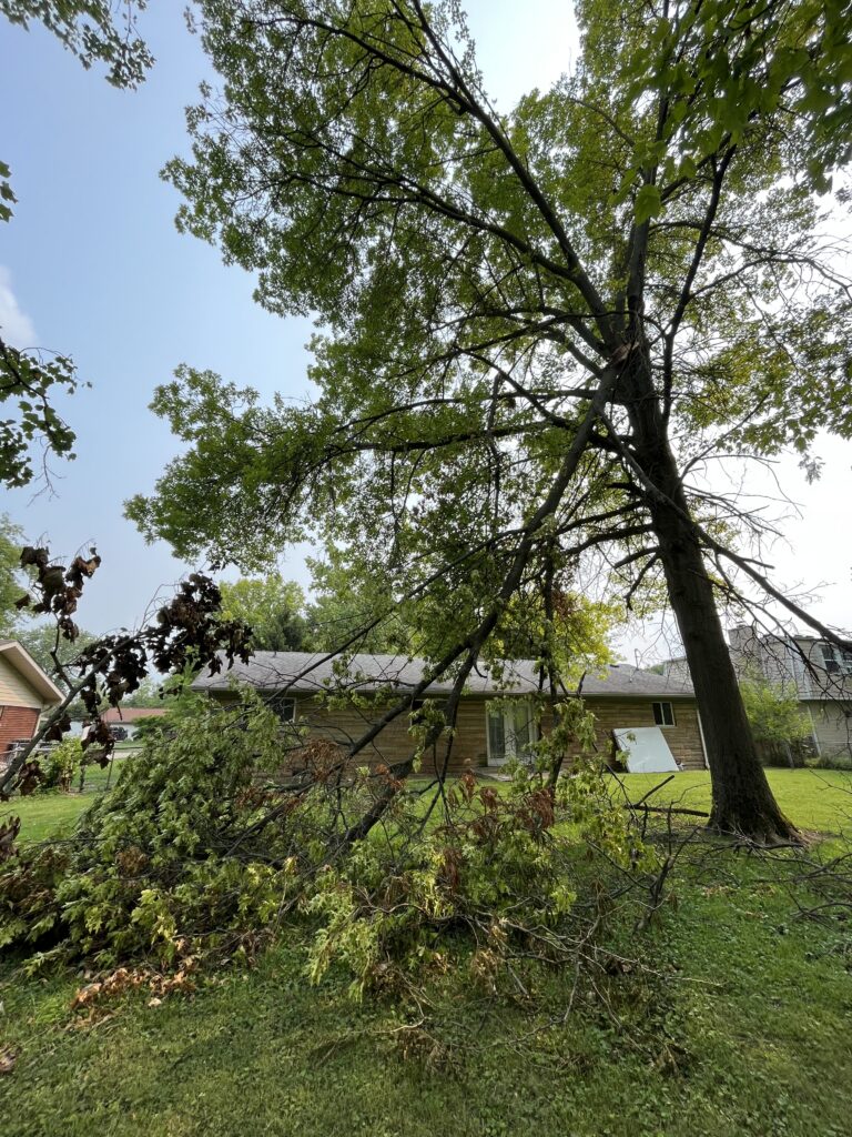 Storm Damage