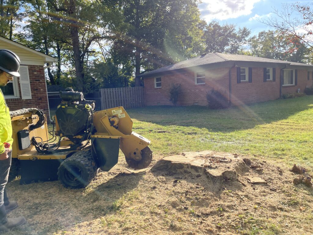Stump grinding