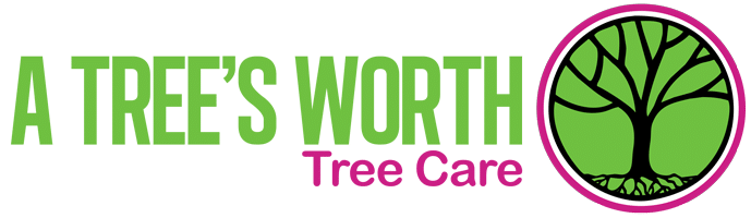 Logo A Trees Worth no llc